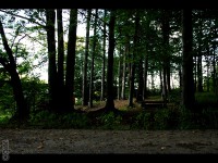 /album/fotogaleria-udolie-smrti/dukla-udolie-smrti08-jpg/